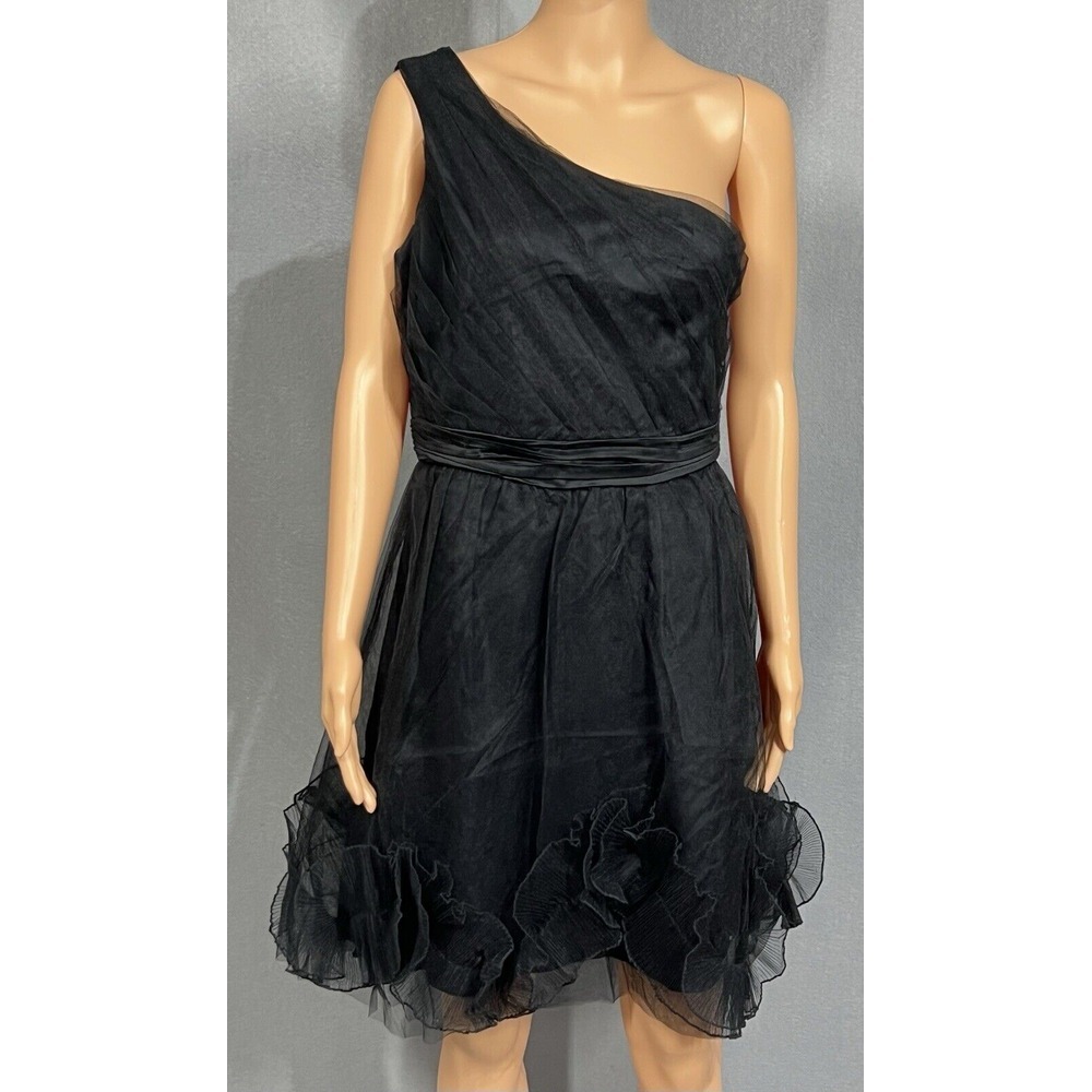 Max Andโ Cleo Black Tulle Lace Dress Size 6